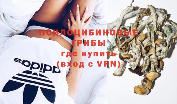 Альфа ПВП Арсеньев