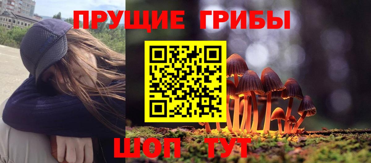 Псилоцибиновые грибы Psilocybine cubensis Унеча